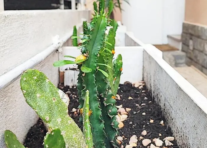 Residenza Bibliososta Lägenhet Ventimiglia