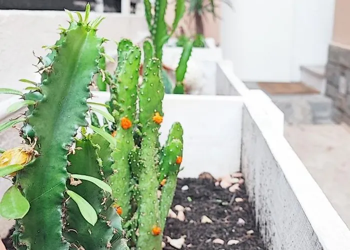 Residenza Bibliososta Ventimiglia