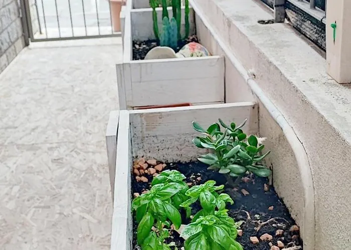 Residenza Bibliososta * Ventimiglia