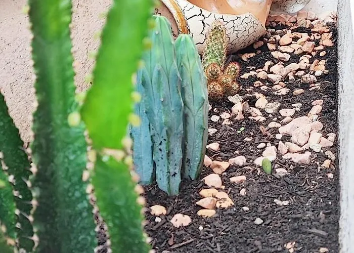 Residenza Bibliososta Ventimiglia